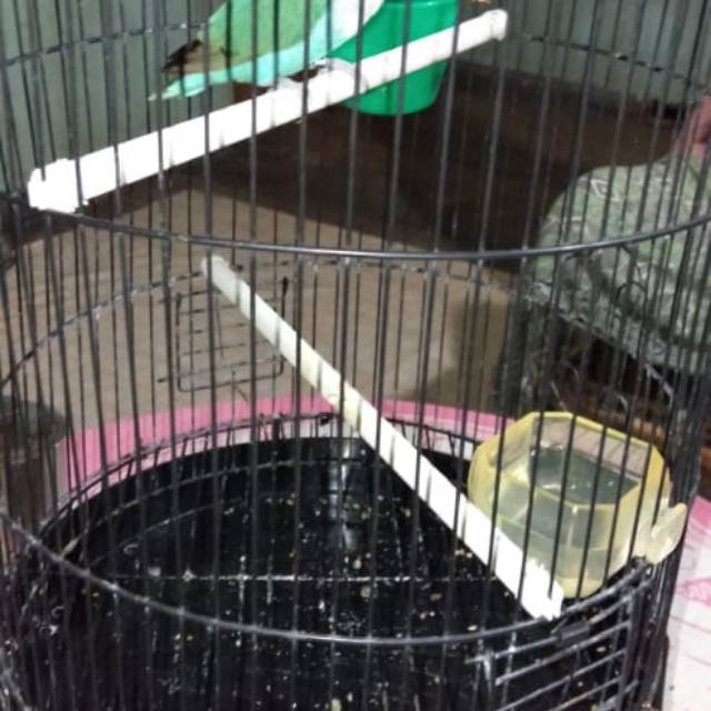 okrianiwelindafratami