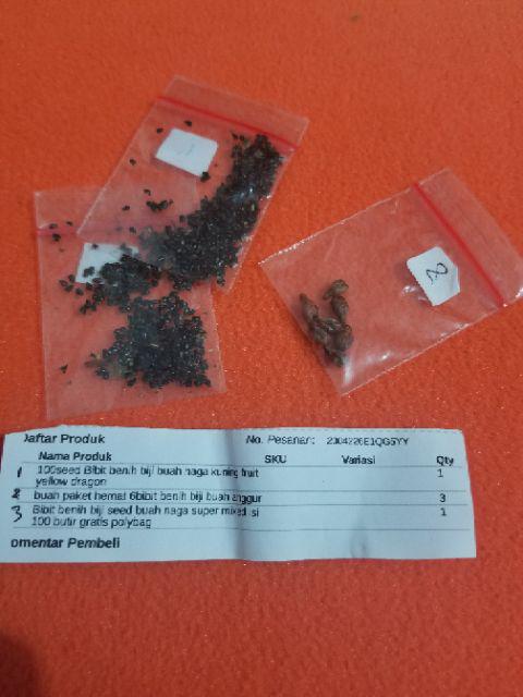 Buah  Paket Hemat 4bibit Benih Biji Buah Anggur