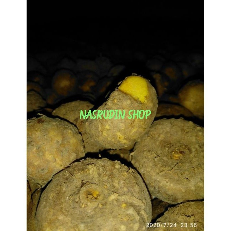 BIBIT PORANG 1KG BIBIT UMBI PORANG SUPER PILIHAN ASLI DORMAN Fresh