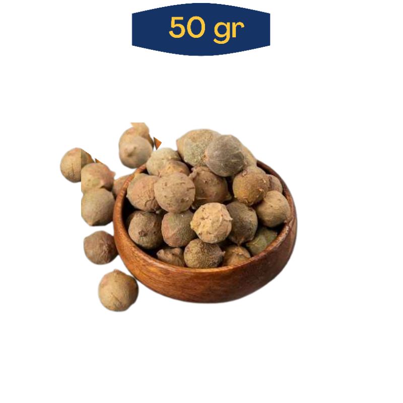 

Buah Manjakani Utuh Oak Galls Bahan Ramuan Herbal