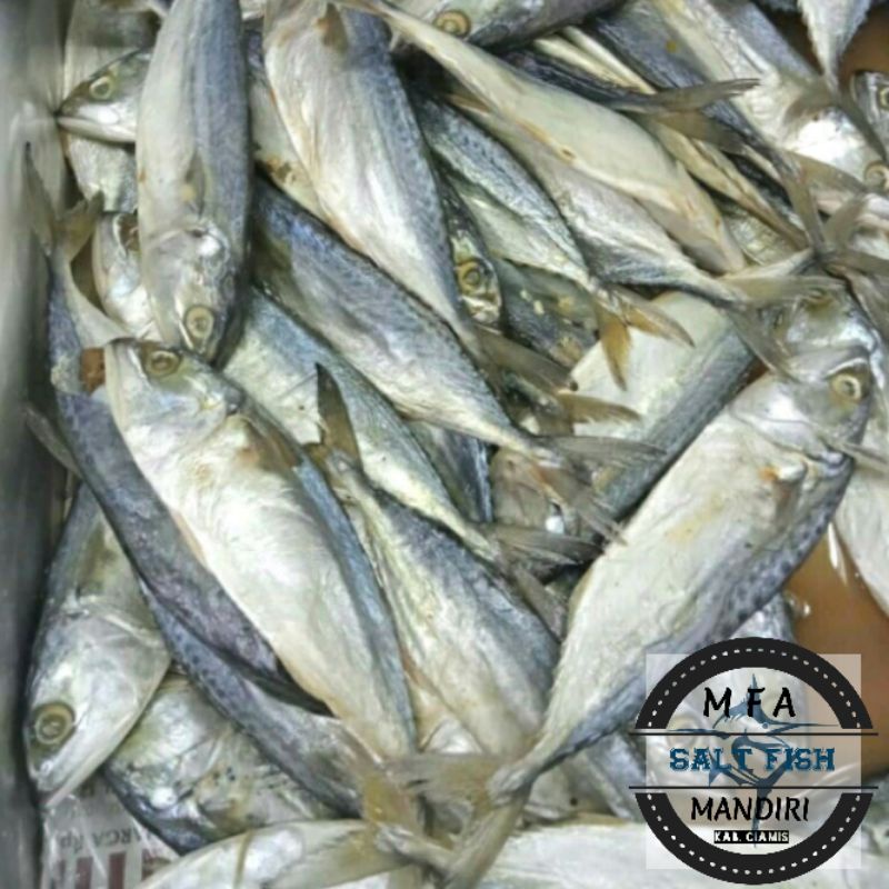 

ikan asin peda putih fresh 1 kg