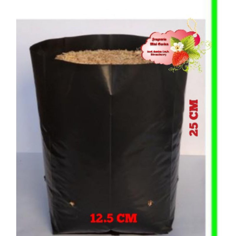 polybag 25 x 25