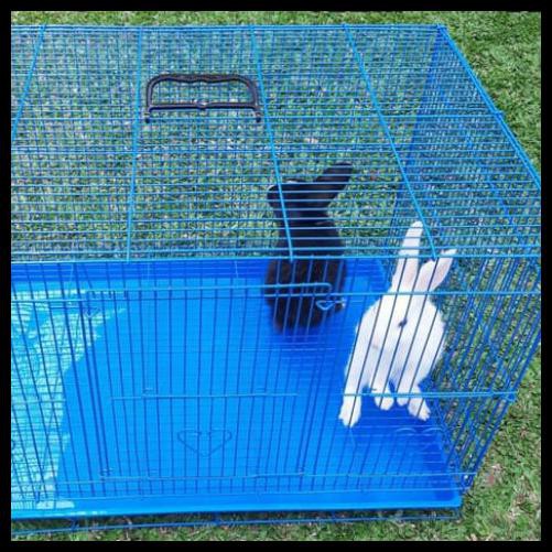 KANDANG AYAM BAHAN BESI BISA DI LIPAT BAGUS
