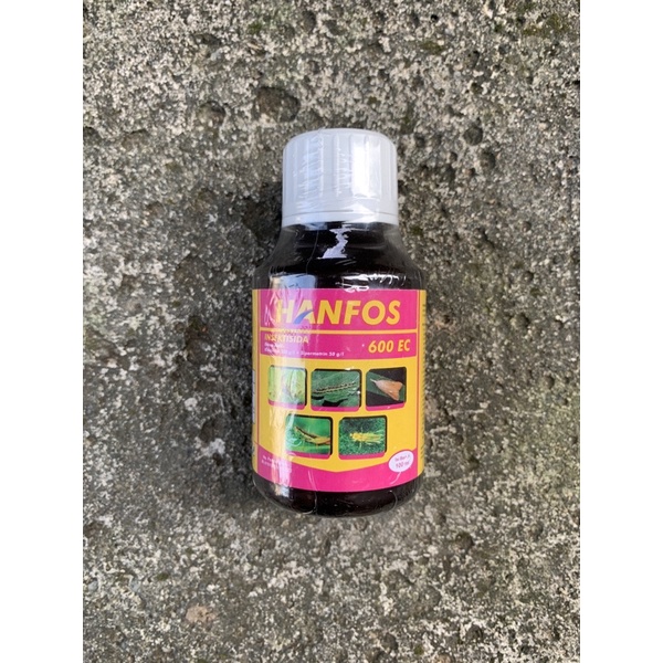 Insektisida HANFOS 600 EC 100ml