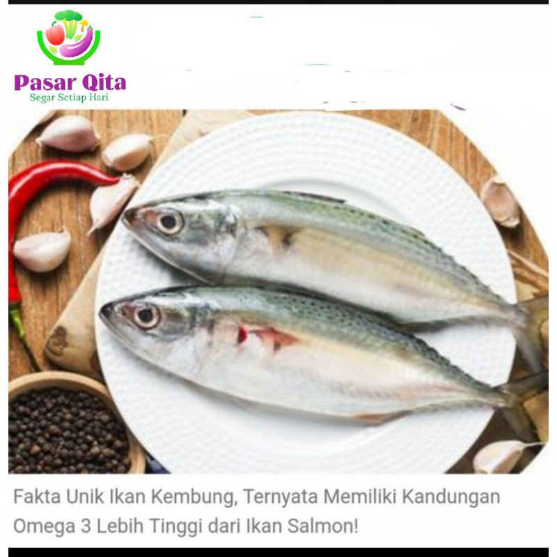 

Ikan Kembung - 500 Gram ( Pasar Qita )