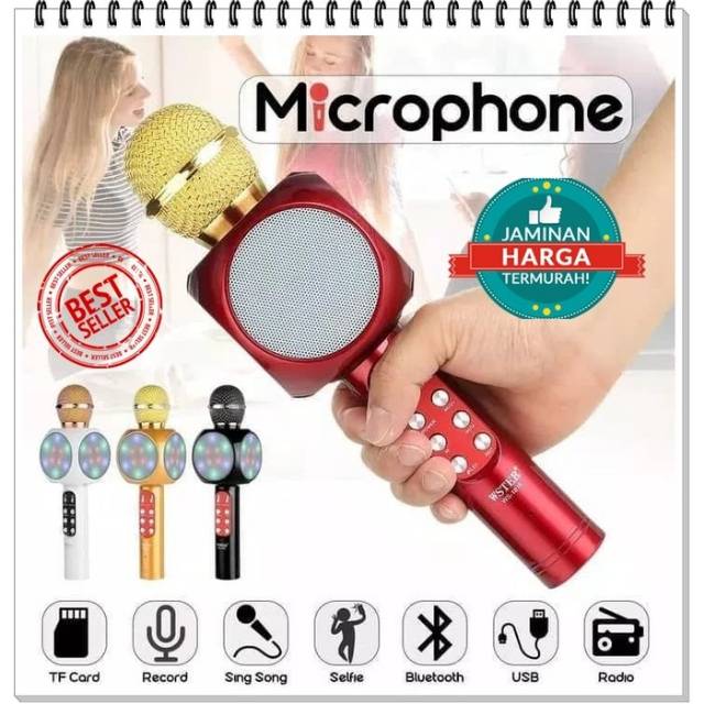 MIC WSTER WS-668 Dan WS-1816 Portable Bluetooth Wireless Microphone Speaker Karaoke