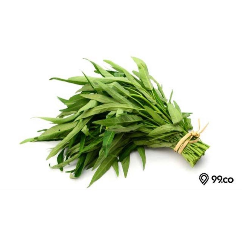 

kangkung - 1 ikat