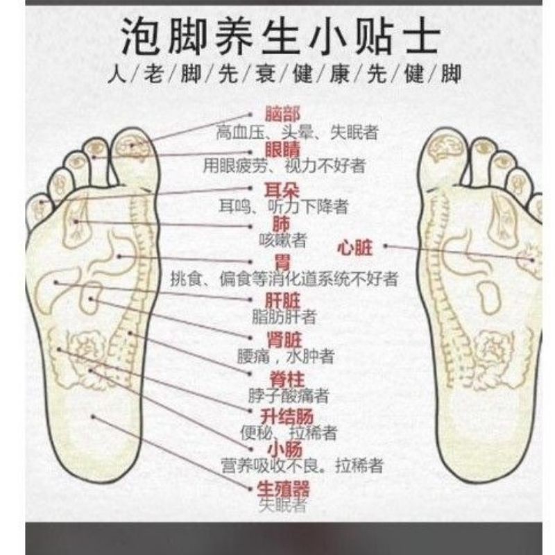 Rendam Kaki Herbal Tradisional Chinese Medicine Tiongkok