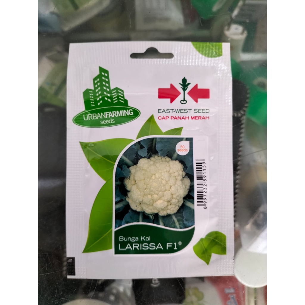 benih bibit bunga kol Larissa f1 cap panah merah - BUNGA KOL LARISSA