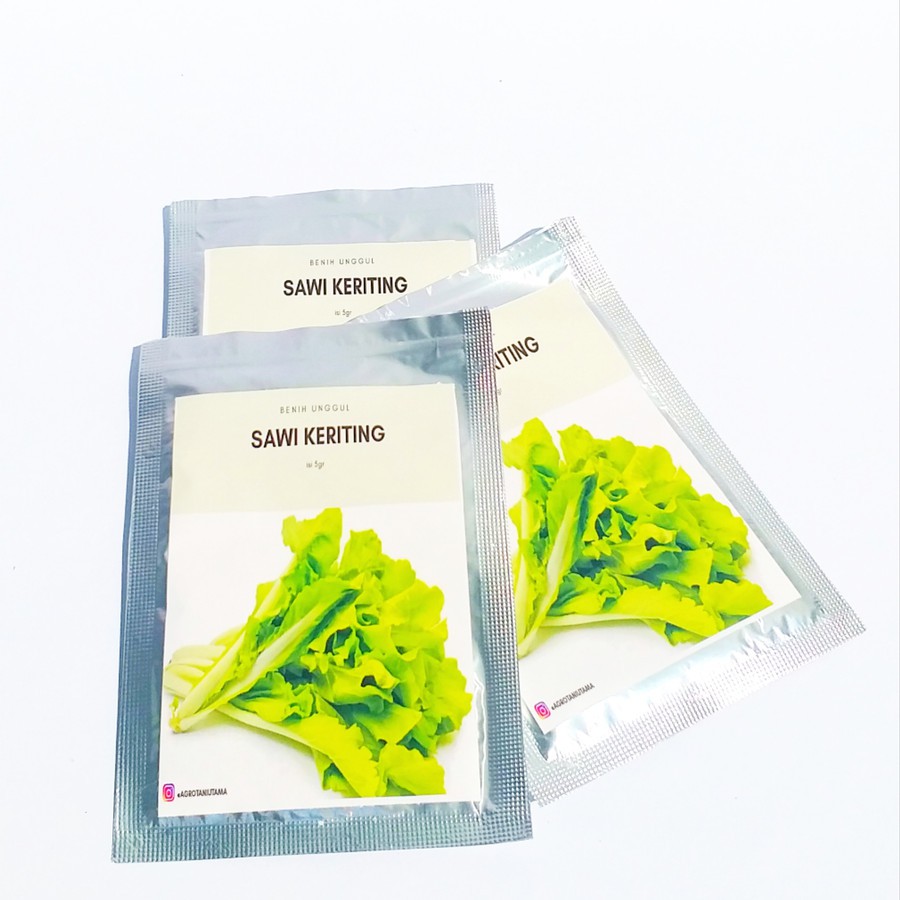 Benih bibit sawi keriting