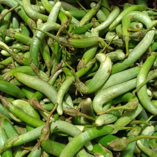 

Terong telunjuk ,terong medan 500 gram