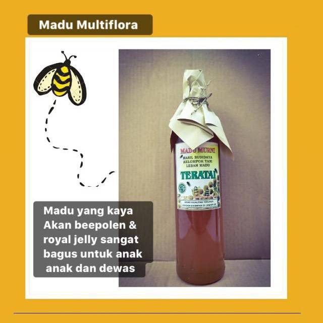 

Madu Multiflora 600 ml
