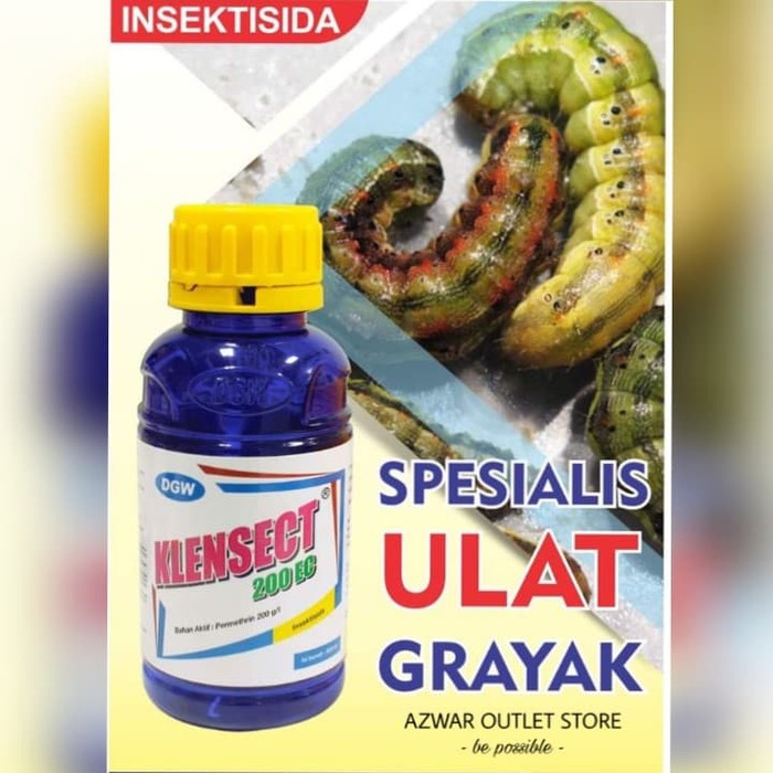 Klensect Obat Ulat Grayak Pembasmi Hama Ulat Grayak Shopee Indonesia