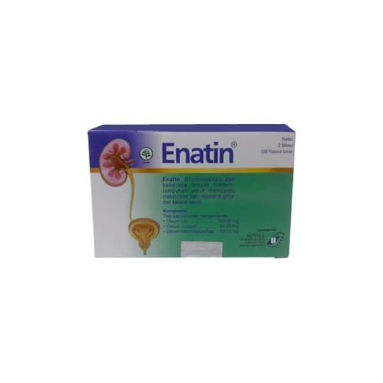 Enatin Blister isi 18 Tablet obat batu ginjal