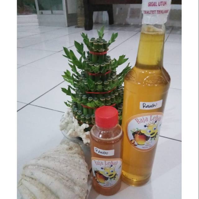 

Madu asli raja lebah Randu