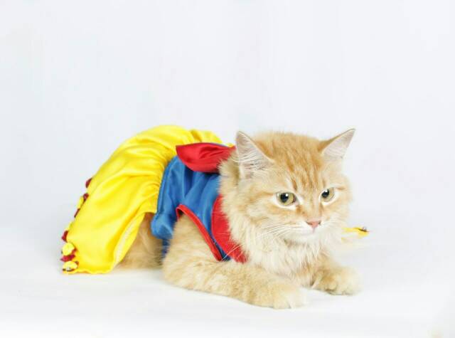 Dress snow white cute banget untuk anjing dan kucing size S M L XL