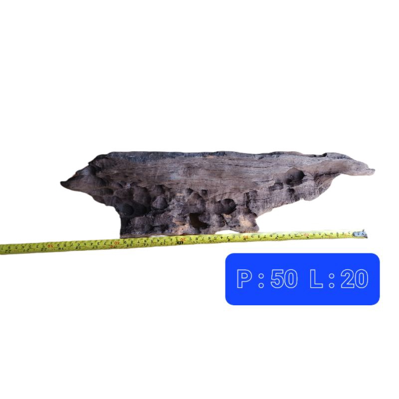 kayu aquascape hutan tenggelam