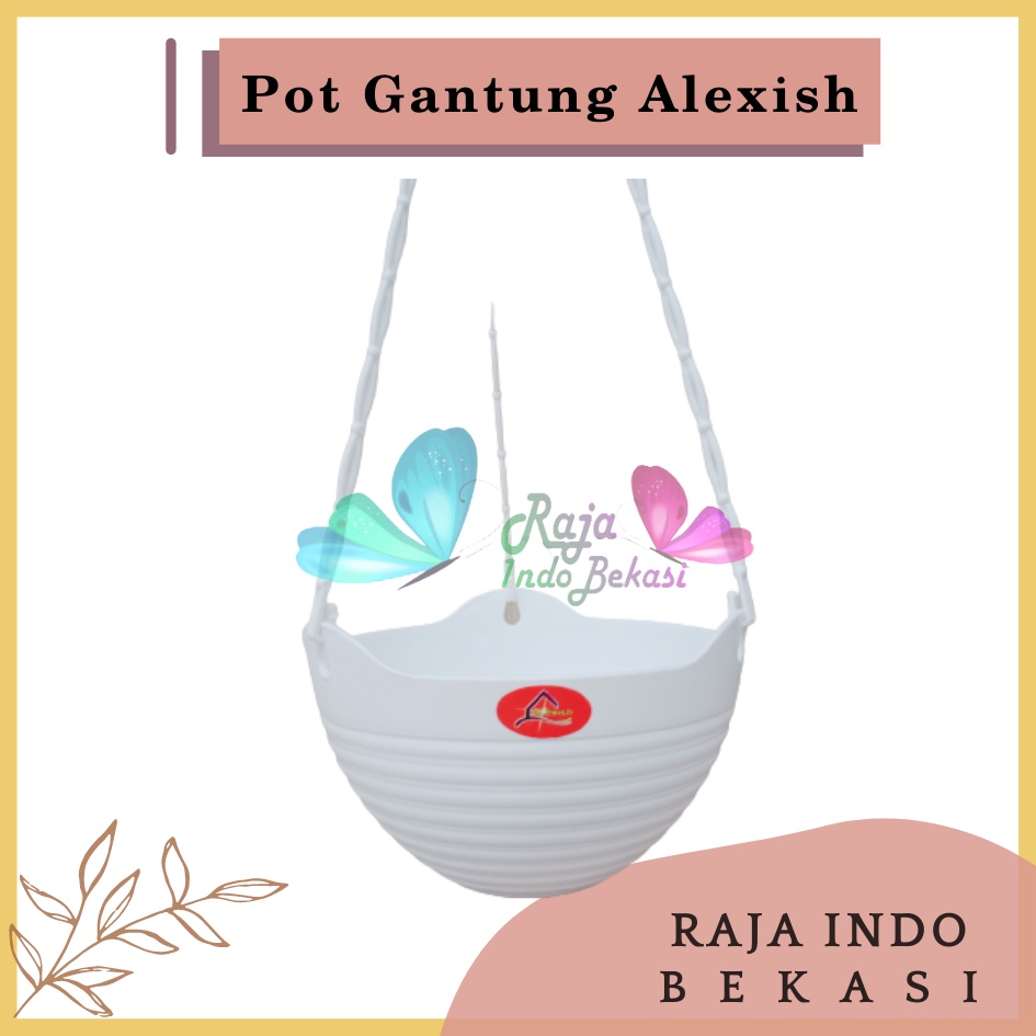 Rajaindobekasi Pot Bunga Gantung Alexish 20 Putih Mirip Pot Gantung Gentong Lovenia Pot Gantung Putih Anggrek Murah Unik Tinggi Lion star