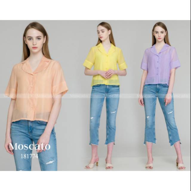 Moscato atasan wanita 181774