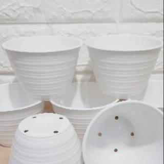 POT TAWON PUTIH 10CM PLASTIK TANAMAN BUNGA HIAS Shopee POT TAWON PUTIH 10CM PLASTIK TANAMAN BUNGA HIAS Shopee