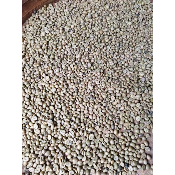 

biji kopi robusta/kopi robusta 1 kg#robusta lereng kawi