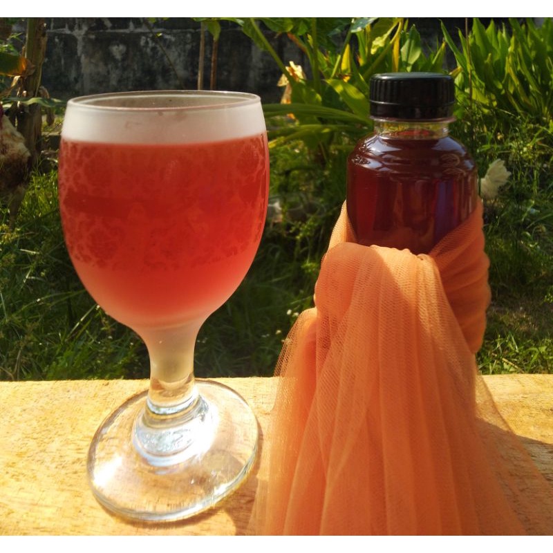 

syrup serbat bisa untuk healing 250ml