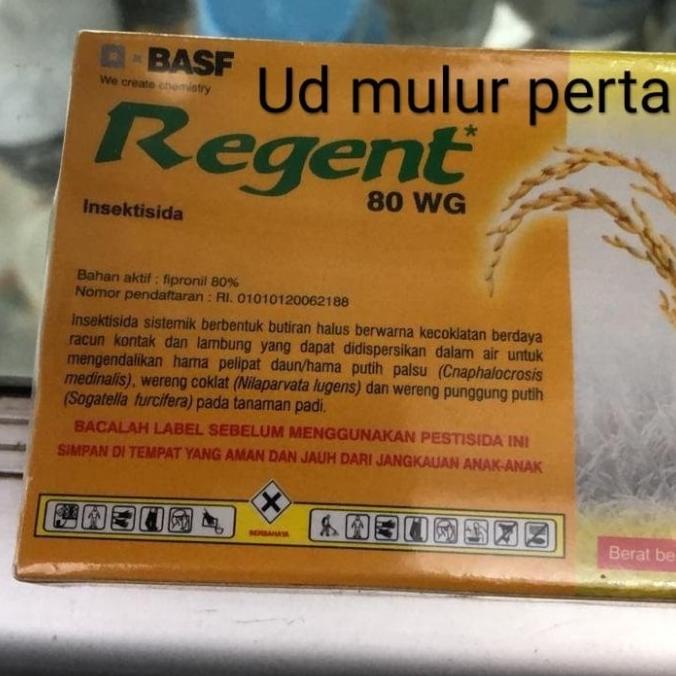 @#@#@#] REGENT 80WG isi 5 pcs