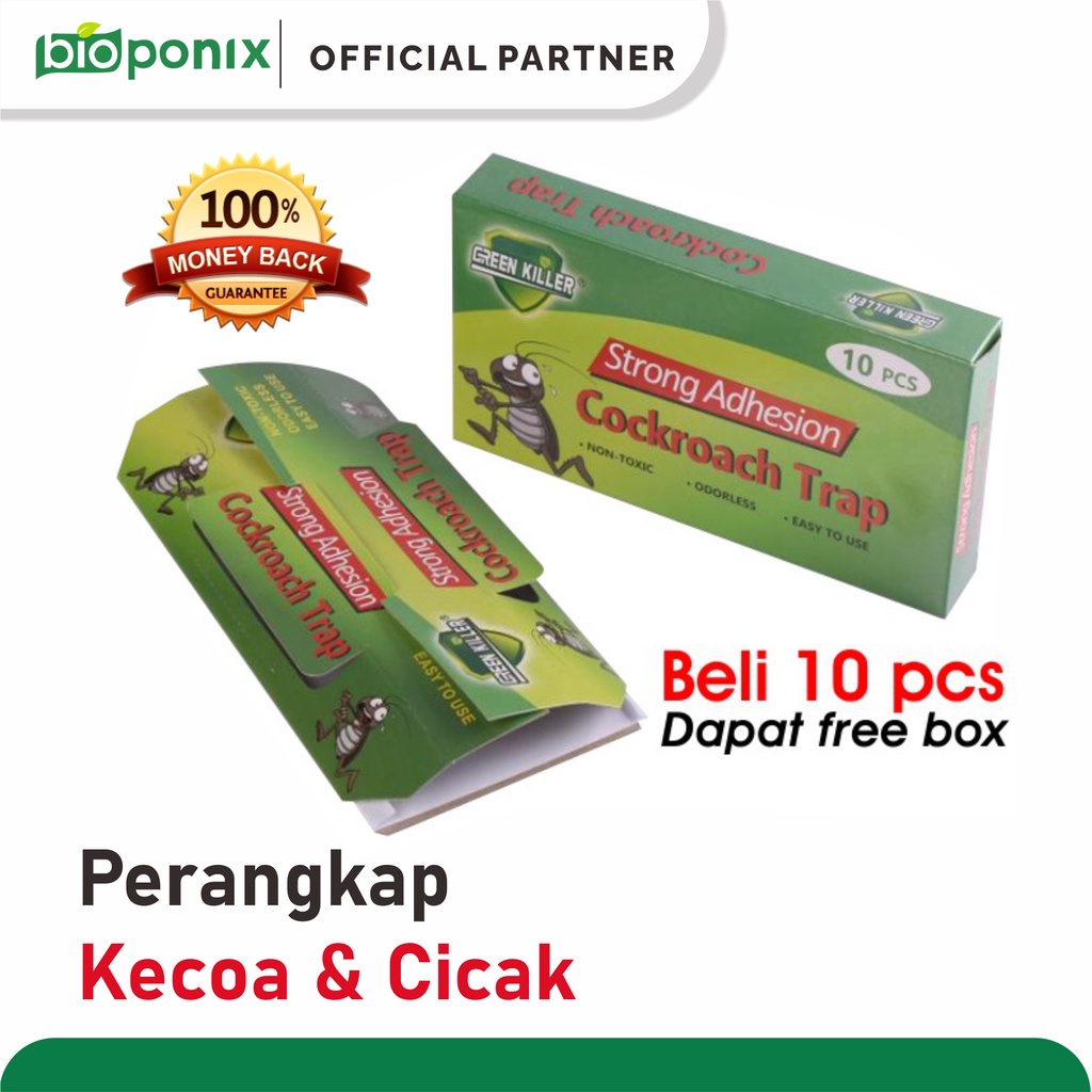 Umpan Lem Perangkap Kecoa Cicak Rumah dan Mobil