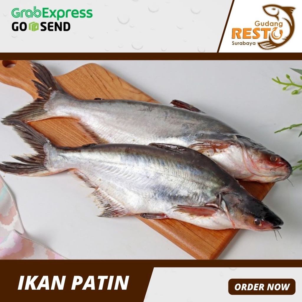 

Ikan Patin Segar Utuh 1kg isi 2ekor / Ikan Patin Fresh / Gudang Resto Surabaya