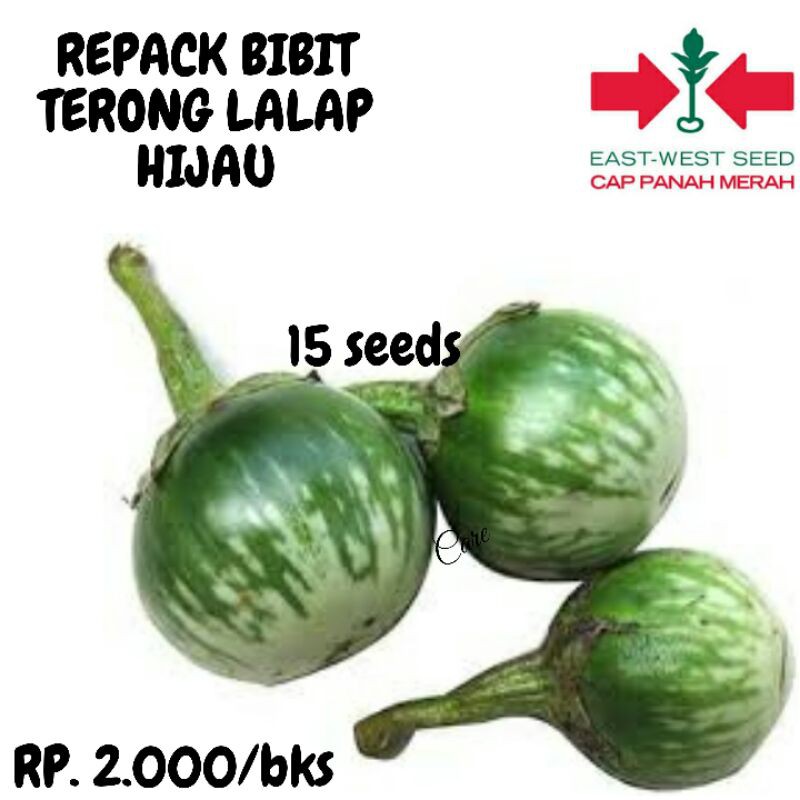 REPACK BIBIT TERONG LALAP IJO JENO F1 CAP PANAH MERAH