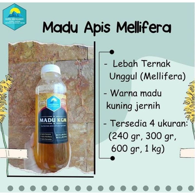 

Madu KGM Mellifera