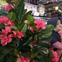 sitdiyah