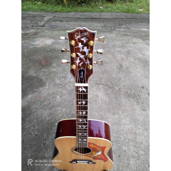 Gibson hummingbird custom