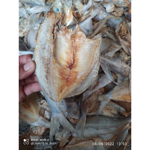 

ikan asin campur / 100gram