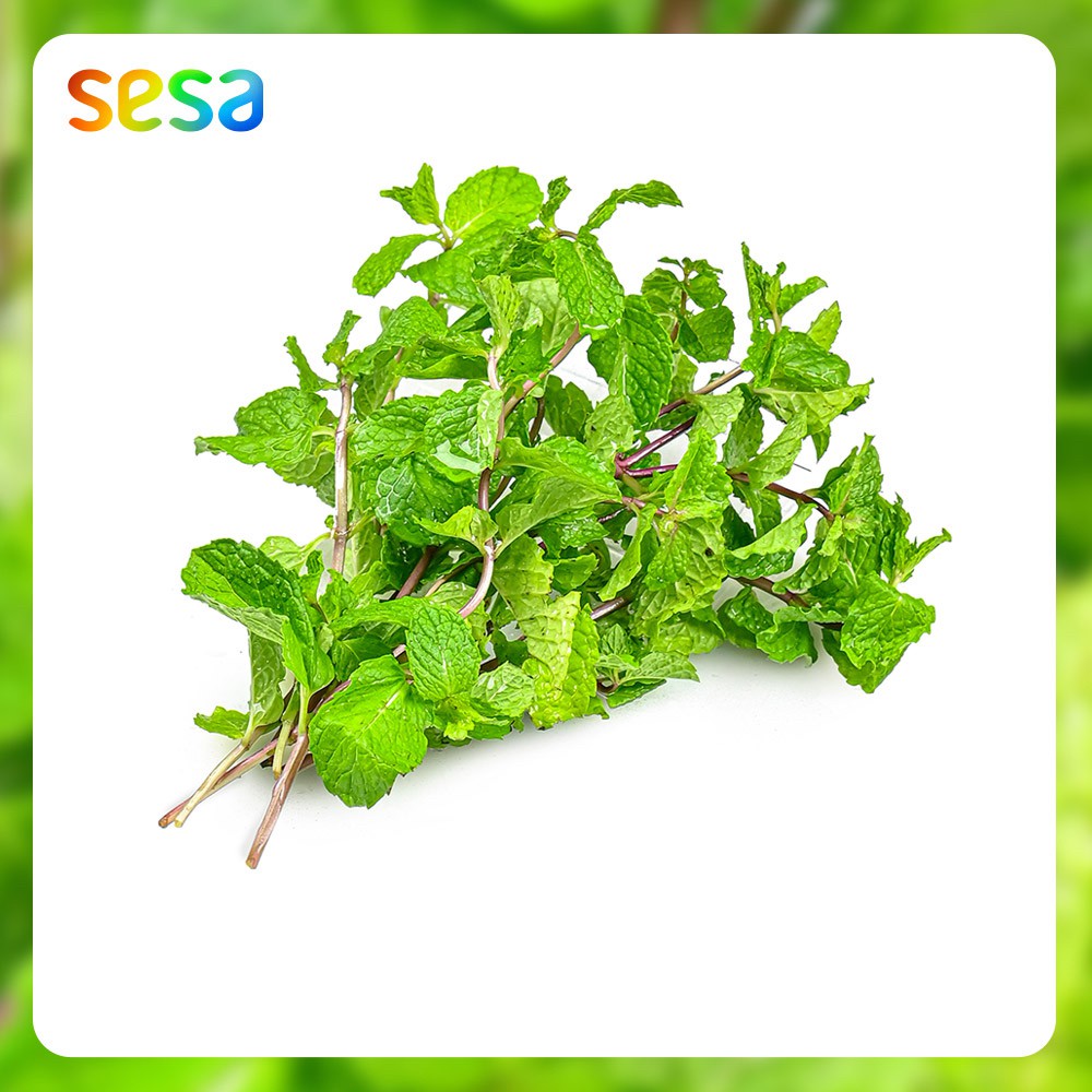 

DAUN MINT Organik 50gr - Sayuran Fresg Rempah Segar