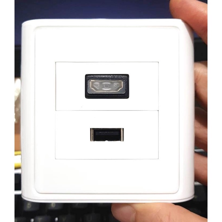 Faceplate USB + HDMI Lurus f-f 2x Port Wall Face Plate USB Data Sync