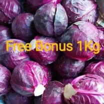 

Kol Merah | Kol Merah | kubis Ungu 500gr + Gratis Bonus