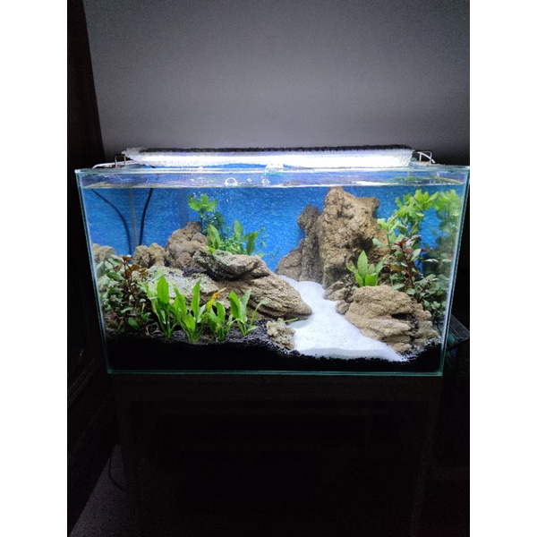Aquarium Full Set Aquascape 60