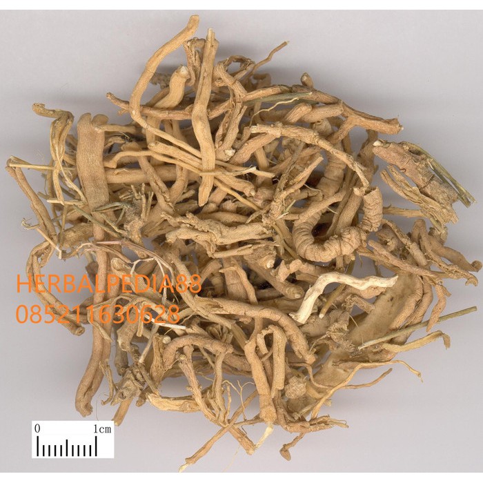 

yuan zhi 远志 Polygalae Radix 100 gram