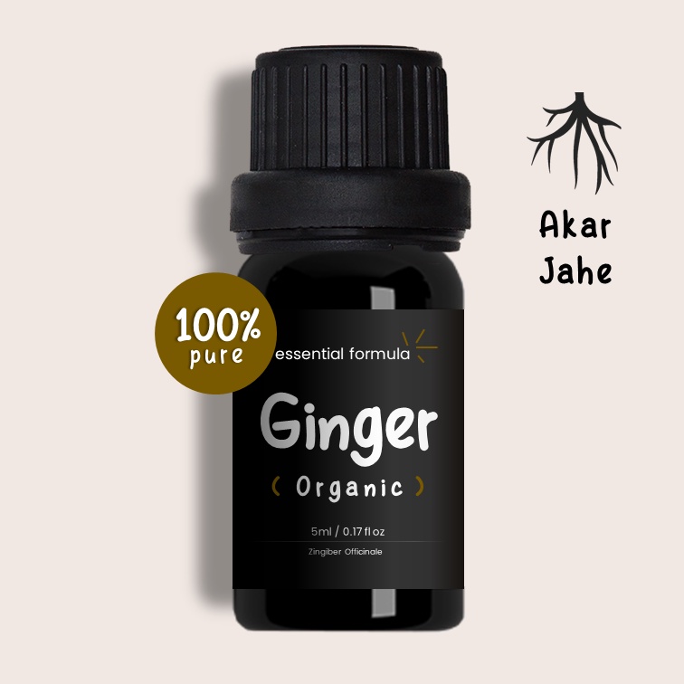 Organic Ginger Essential Oil Akar Jahe Murni 100%