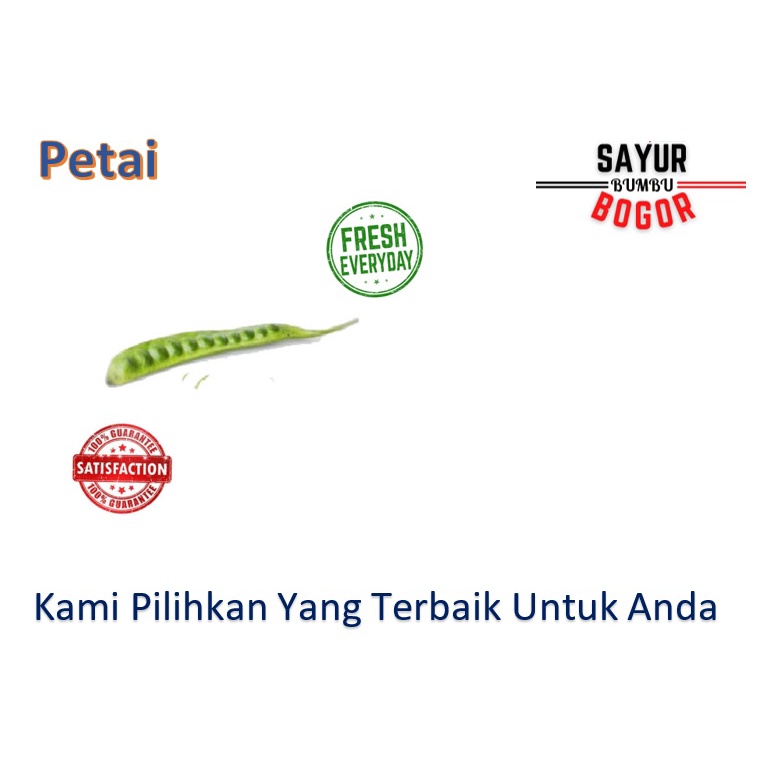 

Petai 1 Papan / Sayur Bumbu Bogor