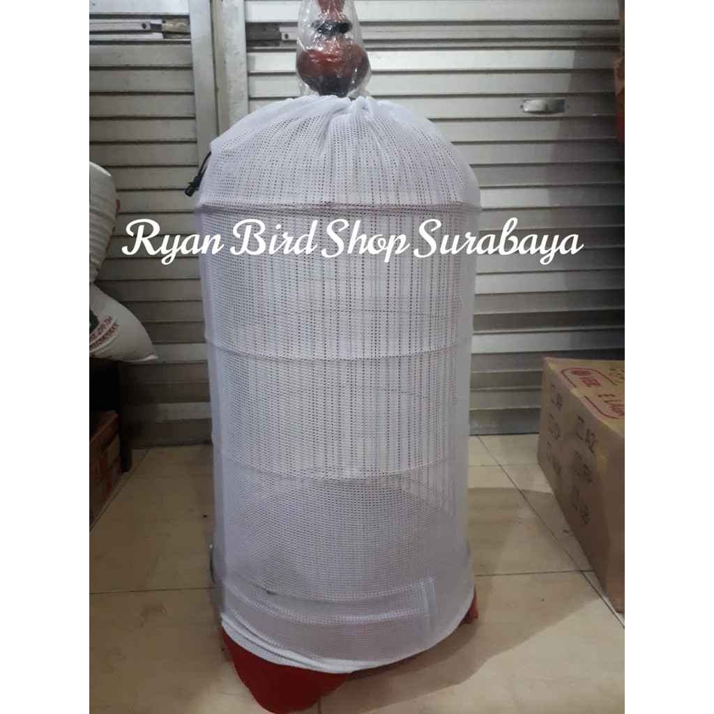 KRODONG TRANSPARAN UNTUK SANGKAR LOVEBIRD MURAH DAN KUAT