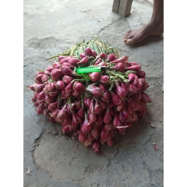 

Bawang merah Brebes