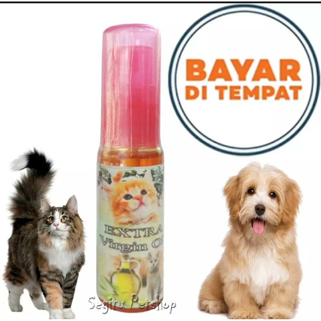 Obat Jamur Luka Cacing Scabies Kucing Penumbuh Bulu VCO