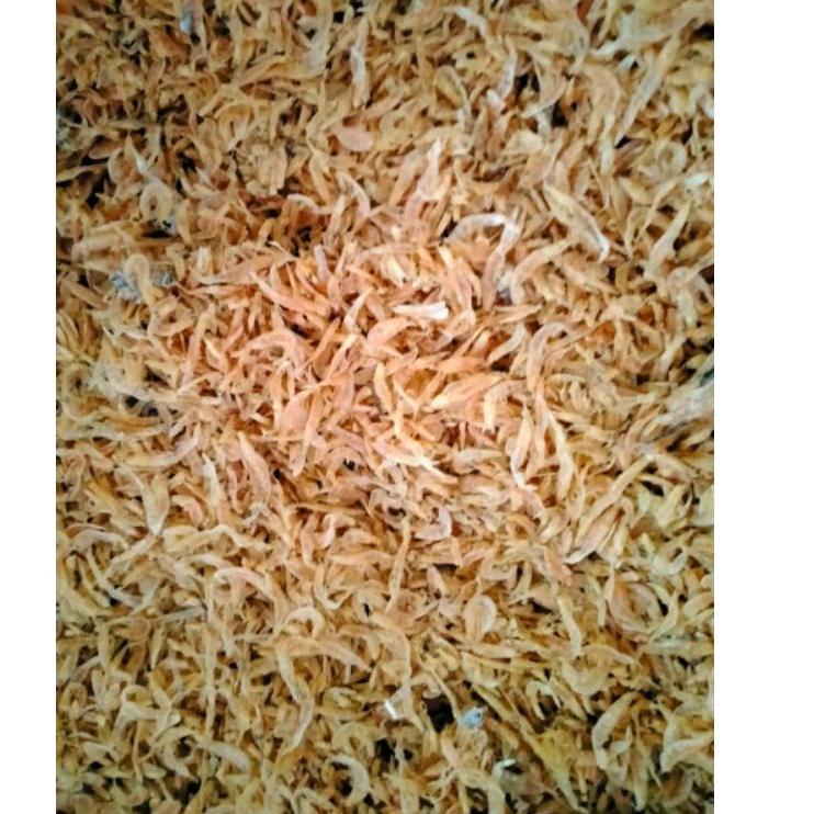 

[PROMO NLH46] Udang Rebon Kering 100 Gram TAWAR pakan kura-kura, ikan channa predator koi hamster Terkini