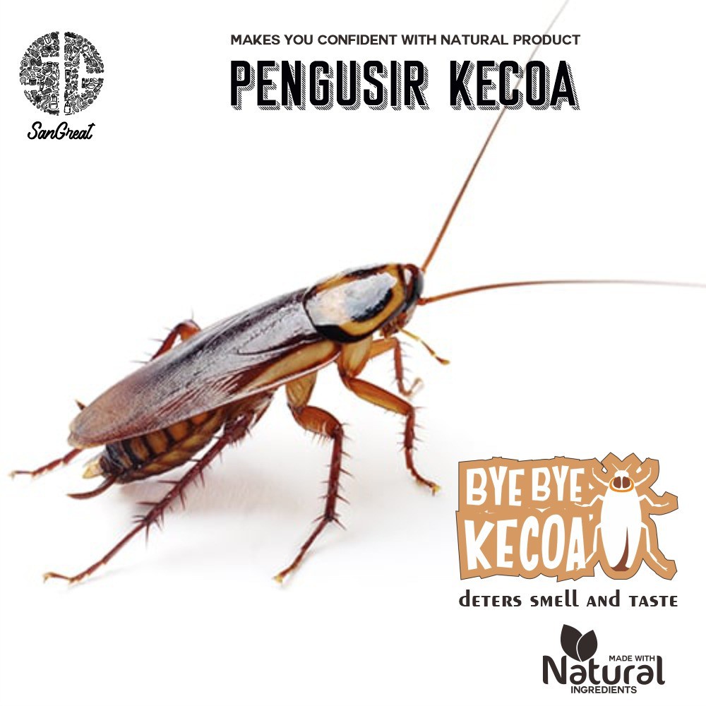 70g Bye Bye Kecoa Gel Pengusir Kecoa Usir Kecoak cockroach repellent Pengusir kecoak gel non pestisida