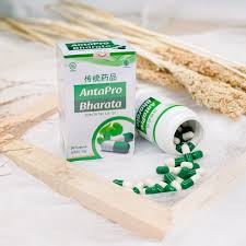Antapro Bharata Obat Stroke Herbal - Stroke Ringan - Gejala Stroke - Stroke Sebelah / Obat Stroke