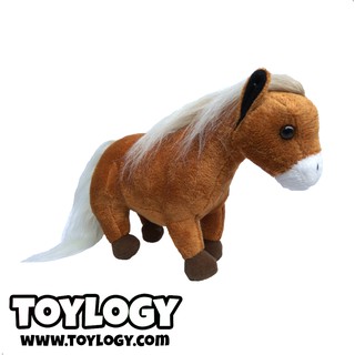 Download 78 Gambar Hewan Kuda Poni Paling Baru 