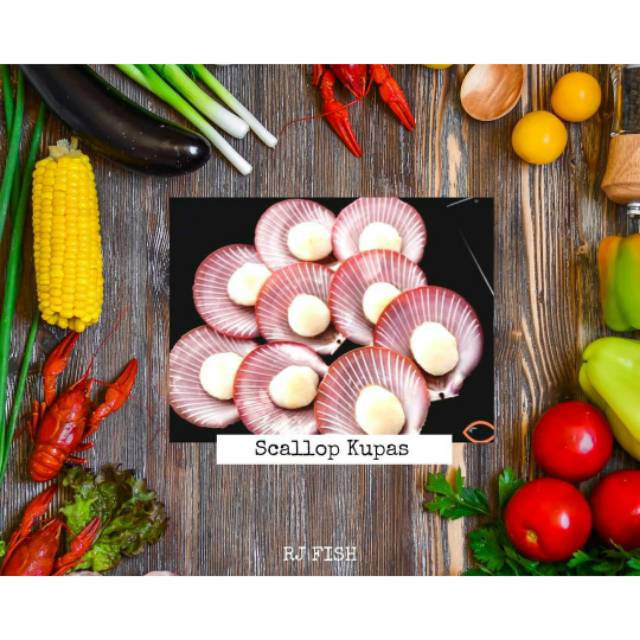 Scallop Kupas Kerang Simping Beku RJ Fish 1Kg