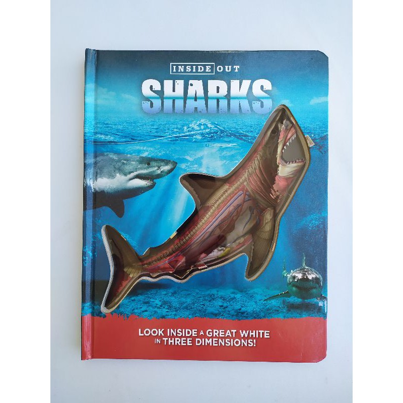 Inside Out Sharks (minor)